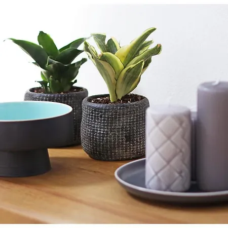 Jerko 2 Appartamento *