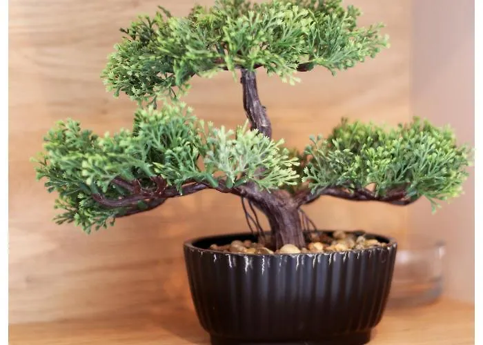 Jerko 2 아파트 프리모스턴