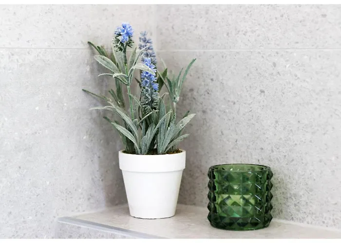 Jerko 2 * 프리모스턴